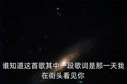 谁知道这首歌其中一段歌词是那一天我在街头看见你