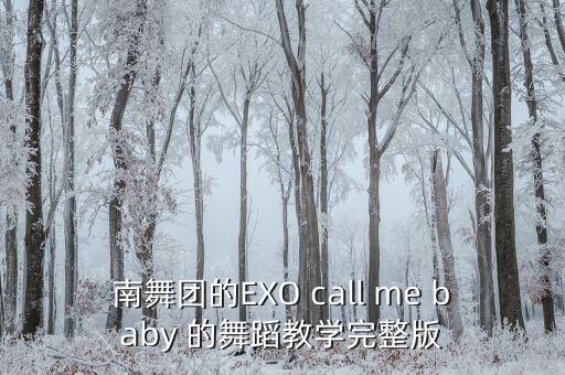 南舞团的EXO call me baby 的舞蹈教学完整版