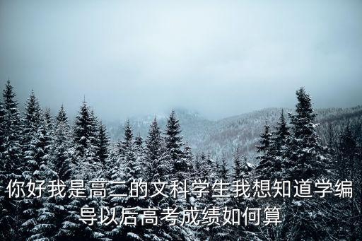 你好我是高二的文科学生我想知道学编导以后高考成绩如何算