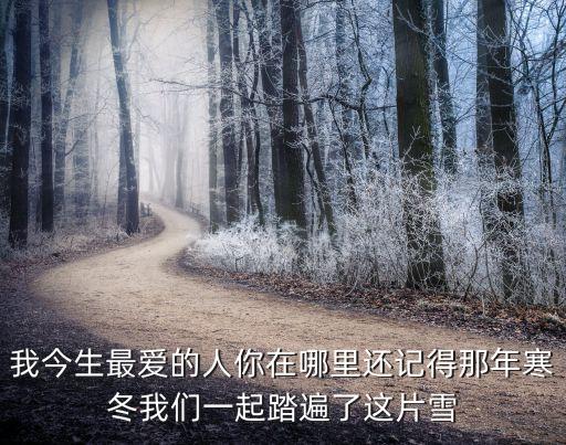 我最爱的人你在哪里舂英活力恰恰舞，我今生最爱的人你在哪里还记得那年寒冬我们一起踏遍了这片雪