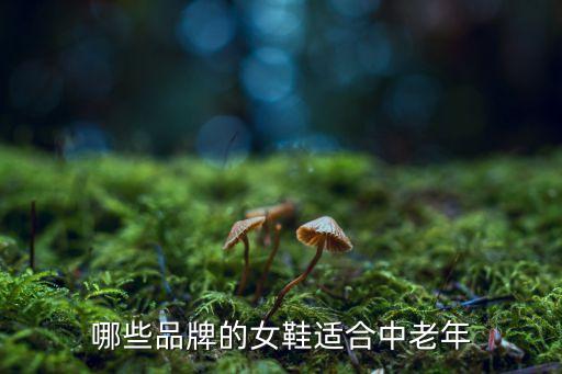 哪些品牌的女鞋适合中老年