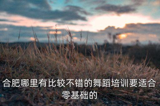 合肥哪里有比较不错的舞蹈培训要适合零基础的