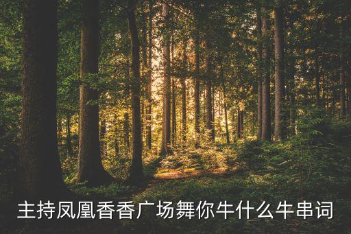 主持凤凰香香广场舞你牛什么牛串词