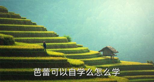 芭蕾可以自学么怎么学