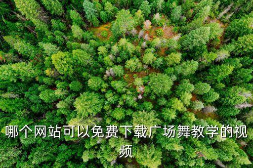 广场舞视频哪里可以免费下载，哪个网站可以免费下载广场舞教学的视频
