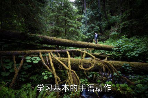初学者手势舞教程视频大全，我相信手语舞分解教程