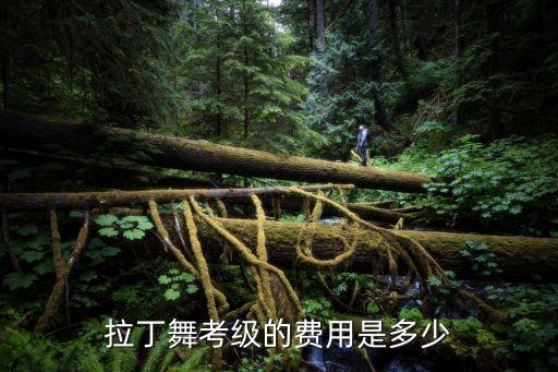 舞蹈班考级需要多少钱，少儿舞蹈考级收费