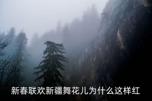 花儿为什么这样红舞蹈mtv，新春联欢新疆舞花儿为什么这样红