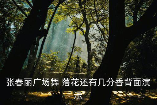 张春丽广场舞 落花还有几分香背面演示
