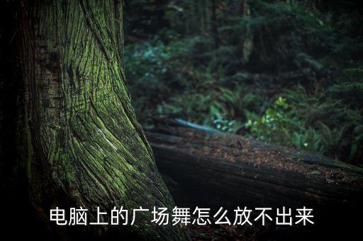 电脑上的广场舞怎么放不出来