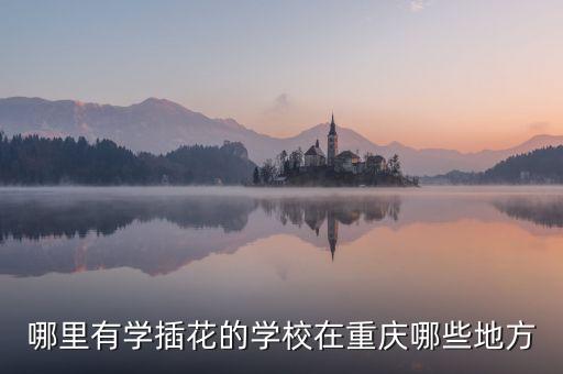 重庆拉丁舞培训机构排名，重庆解放碑哪里有好一点的舞蹈培训班