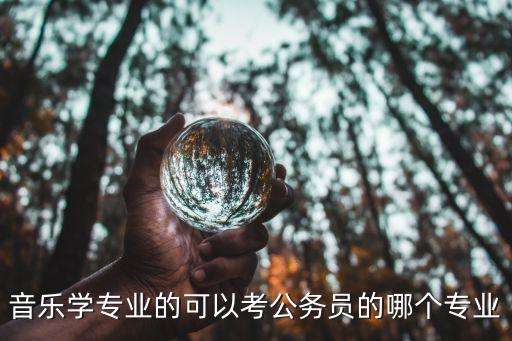 音乐生考公务员最吃香的专业，音乐学专业的可以考公务员的哪个专业