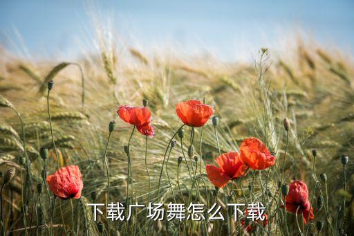 下载广场舞怎么下载