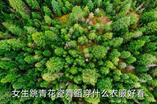 古典舞最新舞蹈服装图片大全女，女生跳青花瓷舞蹈穿什么衣服好看