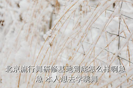 北京流行舞研修基地到底怎么样啊急 急 本人想去学跳舞