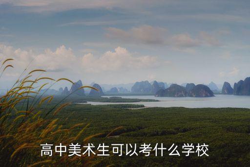 高中美术生可以考什么学校