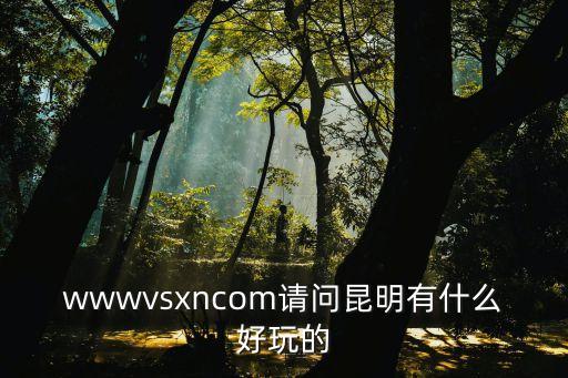 wwwvsxncom请问昆明有什么好玩的