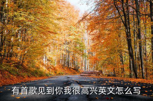有首歌见到你我很高兴英文怎么写