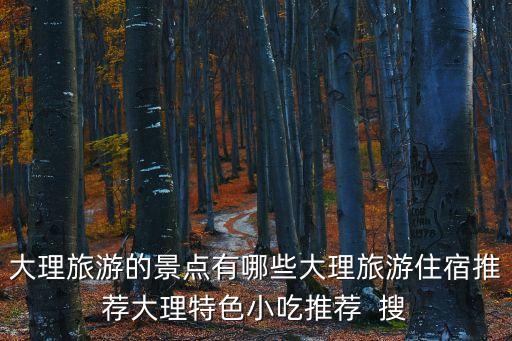 大理旅游的景点有哪些大理旅游住宿推荐大理特色小吃推荐  搜