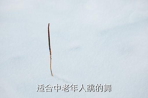 适合中老年人跳的舞