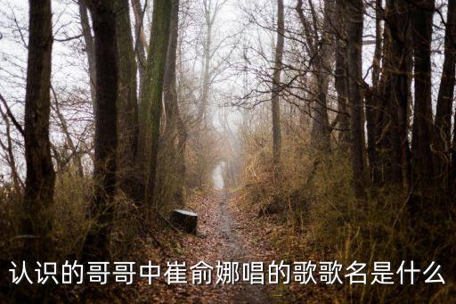 认识的哥哥中崔俞娜唱的歌歌名是什么