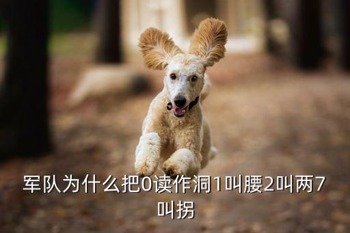 什么叫云间转腰，军队为什么把0读作洞1叫腰2叫两7叫拐