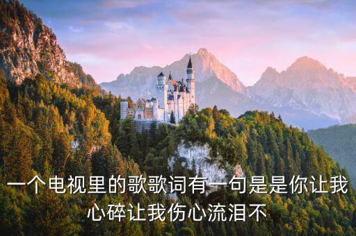是你让我心伤是什么歌，这首歌叫什么呢有一句歌词是你让我心碎让我伤心流泪