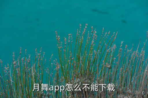 月舞app怎么不能下载