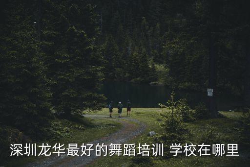 深圳龙华哪里有舞蹈培训，龙华哪里有学跳舞的舞蹈培训学校