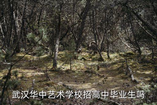 武汉华中艺术学校招高中毕业生吗