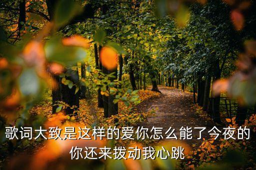 歌词大致是这样的爱你怎么能了今夜的你还来拨动我心跳