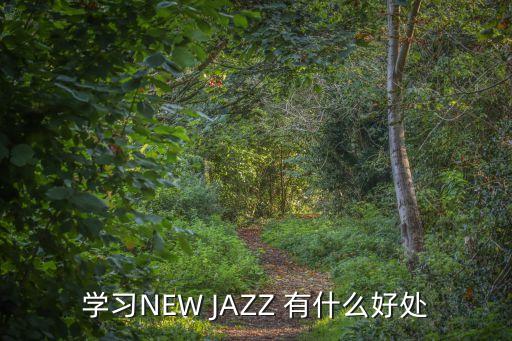 学习NEW JAZZ 有什么好处