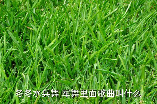 冬冬水兵舞 军舞里面歌曲叫什么