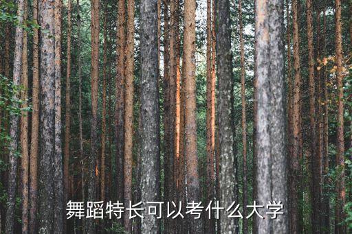 舞蹈特长可以考什么大学