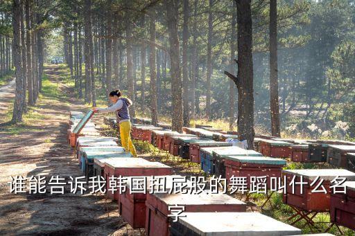 撅屁股舞叫什么意思，韩国组合跳的屁股舞叫什么