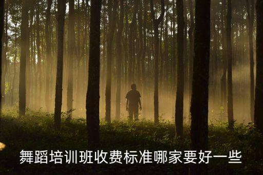 舞蹈培训班收费标准哪家要好一些