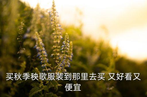 买秋季秧歌服装到那里去买 又好看又便宜