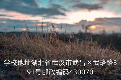 武汉舞蹈艺术学院地址，武汉哪里的舞蹈学校最受欢迎