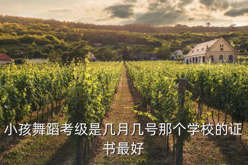 小孩舞蹈考级是几月几号那个学校的证书最好