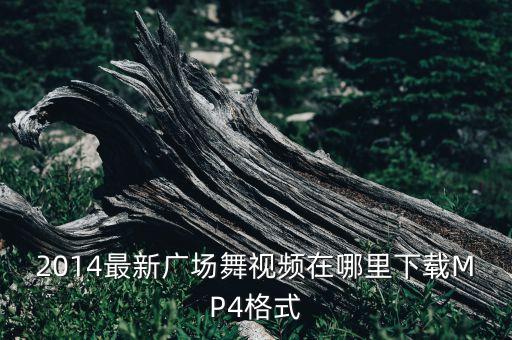 2014最新广场舞视频在哪里下载MP4格式