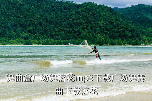 落花舞蹈视频 古典，女子独舞落花的音乐是甚么