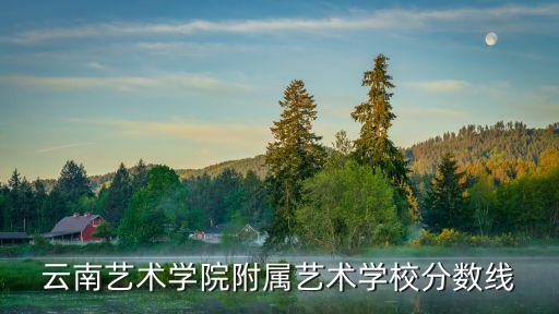 云南艺术学院附属艺术学校分数线