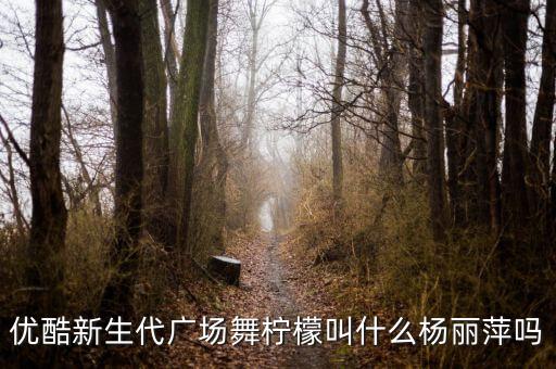 新生代广场舞你为什么不上线柠檬，为什么炫舞进不去柠檬服务器