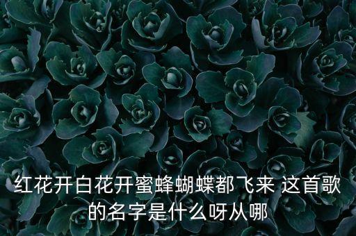 白什么花的歌曲下载，林俊杰的白兰花歌曲链接要背景音乐能播放的谢谢