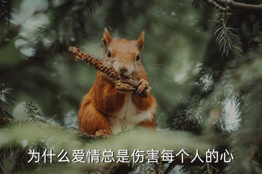 为什么爱情总是伤害每个人的心