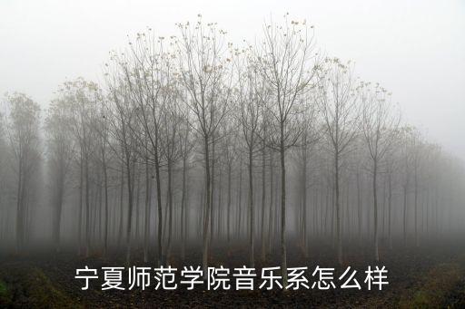 宁夏师范学院音乐系怎么样