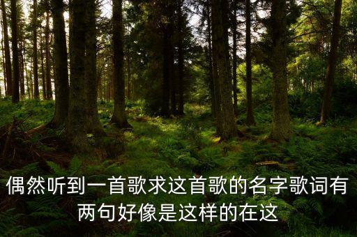 偶然听到一首歌求这首歌的名字歌词有两句好像是这样的在这