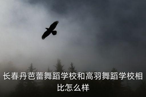 长春丹芭蕾舞蹈学校和高羽舞蹈学校相比怎么样
