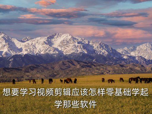 零基础视频剪辑课，Premiere零基础小白怎样学习影视制作
