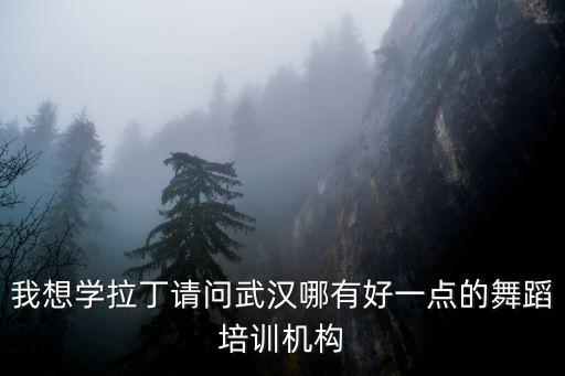 武汉拉丁舞培训机构排名，武昌哪里的拉丁舞教的好